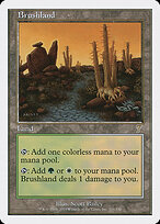 Brushland #326