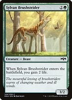Sylvan Brushstrider #144