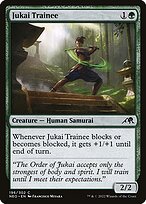 Jukai Trainee #196