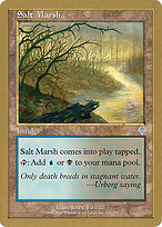 Salt Marsh #cr326