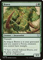 Brawn #292