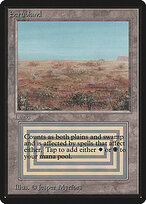 Scrubland #282