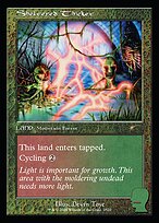 Sheltered Thicket #2522