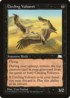 Circling Vultures #64