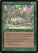 Carnivorous Plant #117