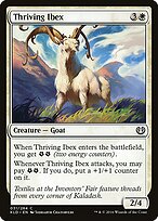 Thriving Ibex #31