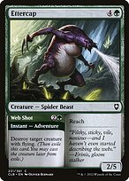 Ettercap // Web Shot #231