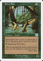 River Boa #59
