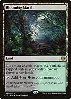 Blooming Marsh #243