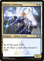 Senate Guildmage #204