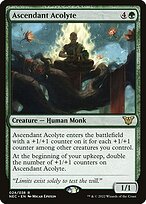 Ascendant Acolyte #24