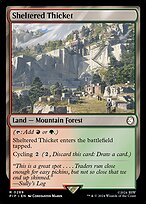 Sheltered Thicket #289