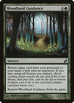 Woodland Guidance #243