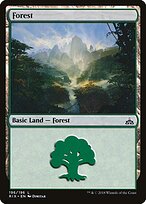 Forest #196