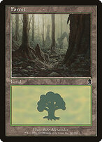 Forest #348