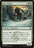 Pine Walker #143