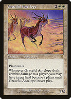 Graceful Antelope #24