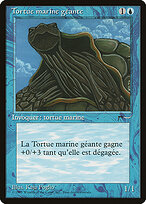 Giant Tortoise #34