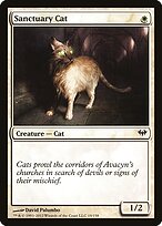 Sanctuary Cat #19