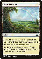 Vivid Meadow #320