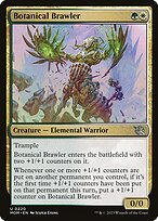 Botanical Brawler #220