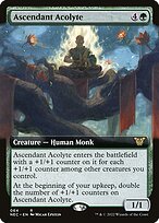 Ascendant Acolyte #64