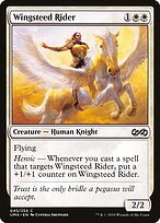 Wingsteed Rider #43