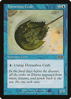 Horseshoe Crab #80