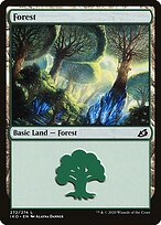 Forest #272