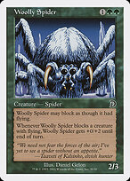 Woolly Spider #30