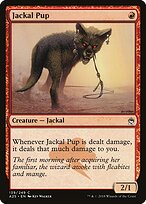 Jackal Pup #139