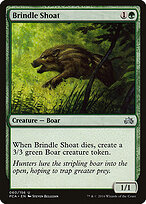 Brindle Shoat #60