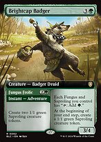 Brightcap Badger // Fungus Frolic #62