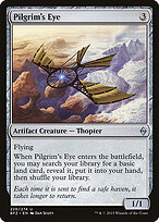 Pilgrim's Eye #226