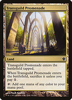 Transguild Promenade #330