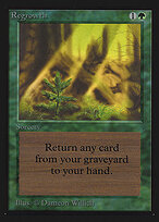 Regrowth #215