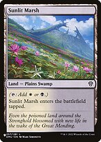 Sunlit Marsh #DMU-257