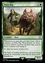 Prize Pig #43