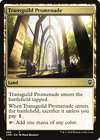 Transguild Promenade #499