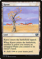 Karoo #303