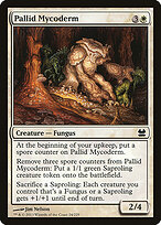Pallid Mycoderm #24