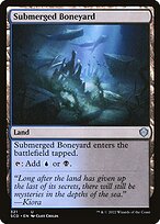 Submerged Boneyard #321