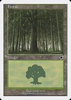 Forest #172