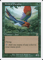 Birds of Paradise #231