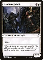Steadfast Paladin #38