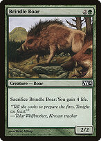 Brindle Boar #167