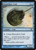 Horseshoe Crab #87