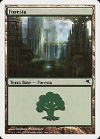 Forest #L12