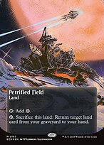 Petrified Field #167