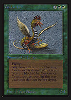 Cockatrice #190